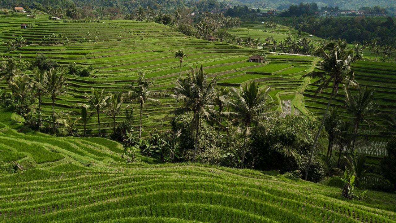 Duiken Indonesie